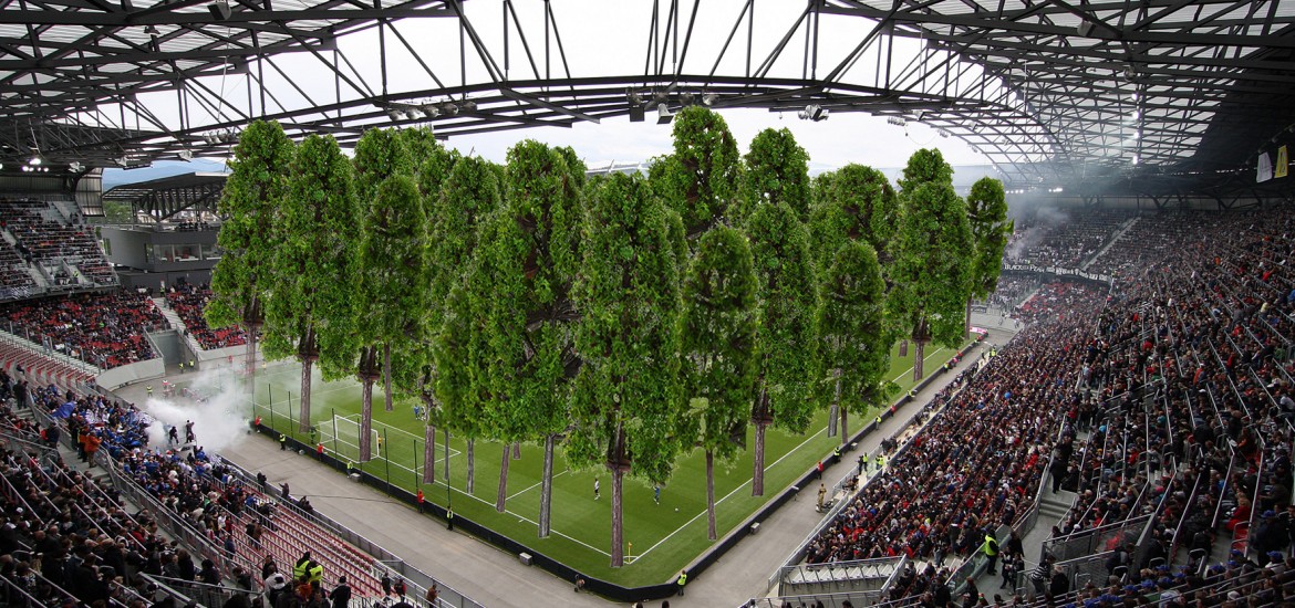 Wald im Stadion: Bäume wurden schon stark in Mitleidenschaft gezogen