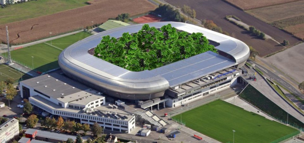 Bestätigt: Stadionwald mit Steuergeld gefördert